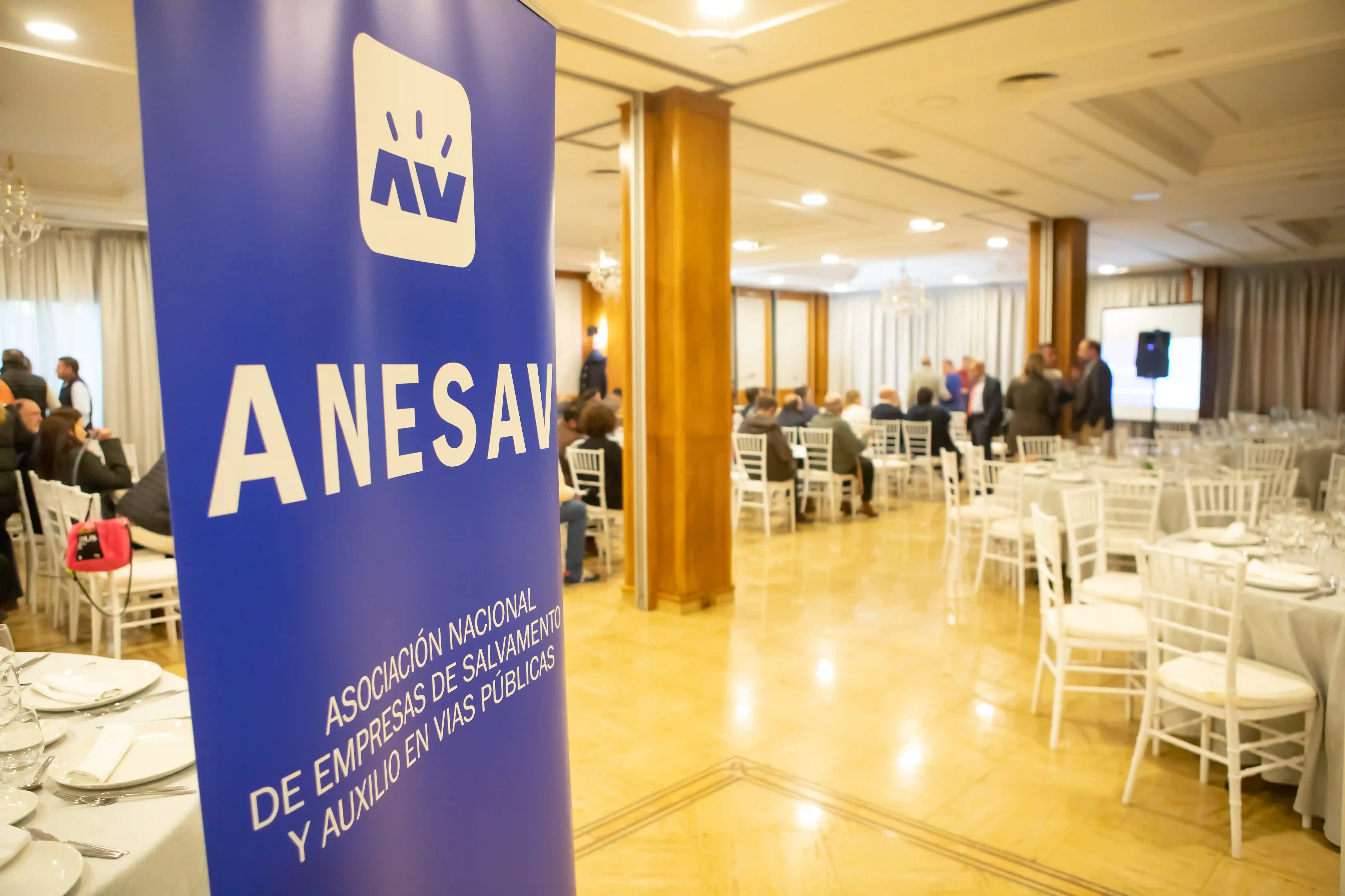 Sobre ANESAV